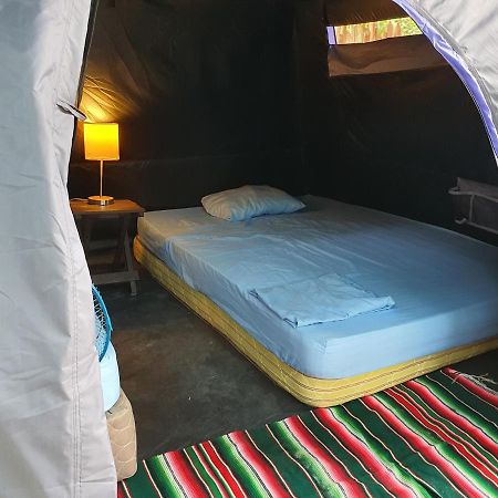Camping Del Ritmo & Kite Club 호텔 엘 쿠요 외부 사진